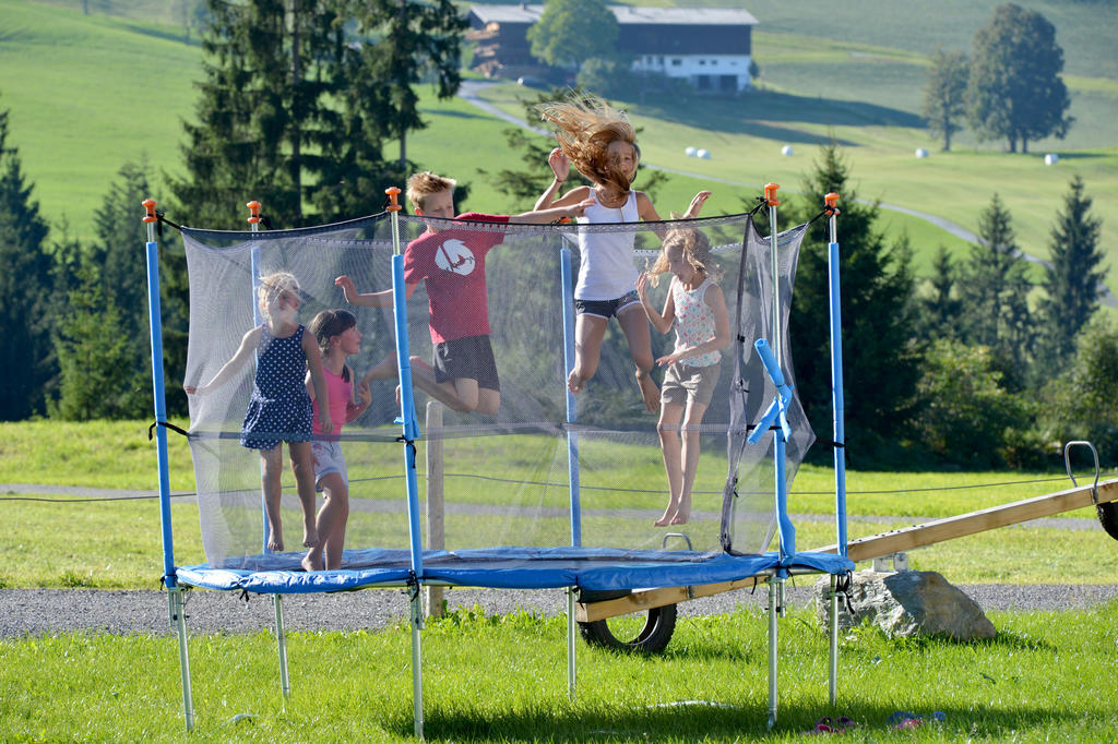Ferienhaus Hinterebenhub Hopfgarten im Brixental Eksteriør billede