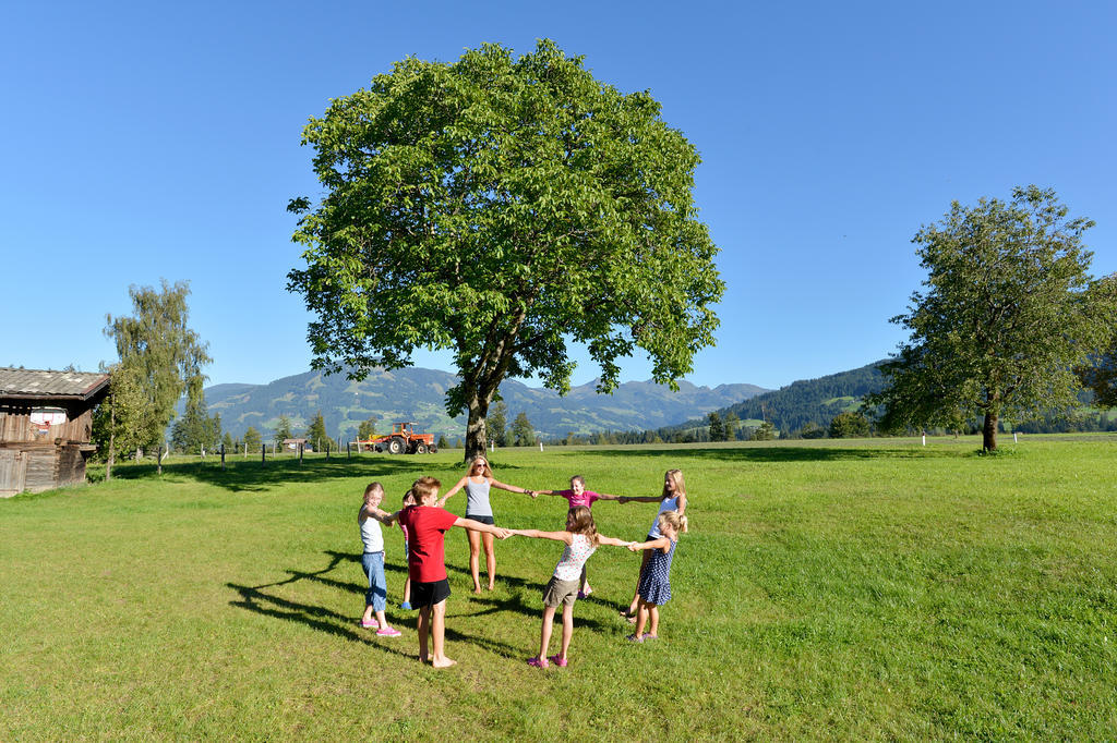 Ferienhaus Hinterebenhub Hopfgarten im Brixental Eksteriør billede