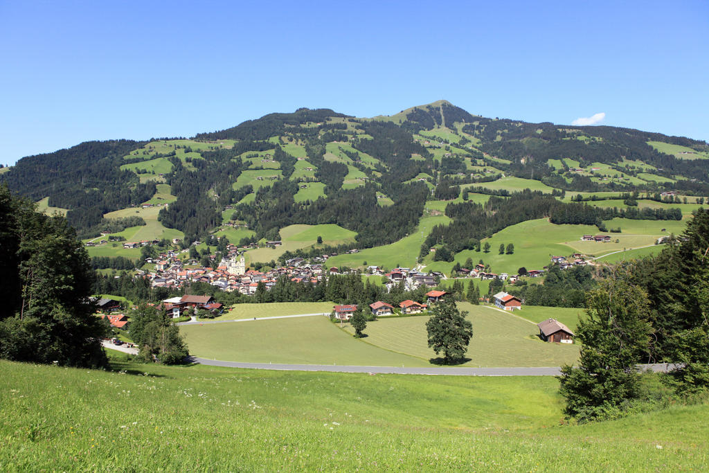Ferienhaus Hinterebenhub Hopfgarten im Brixental Eksteriør billede